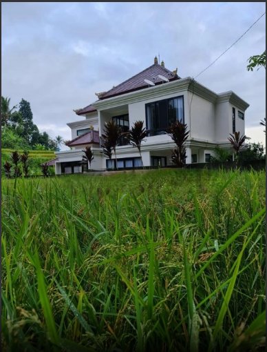 Dijual Rumah tegal alang ubud 2 Lantai
