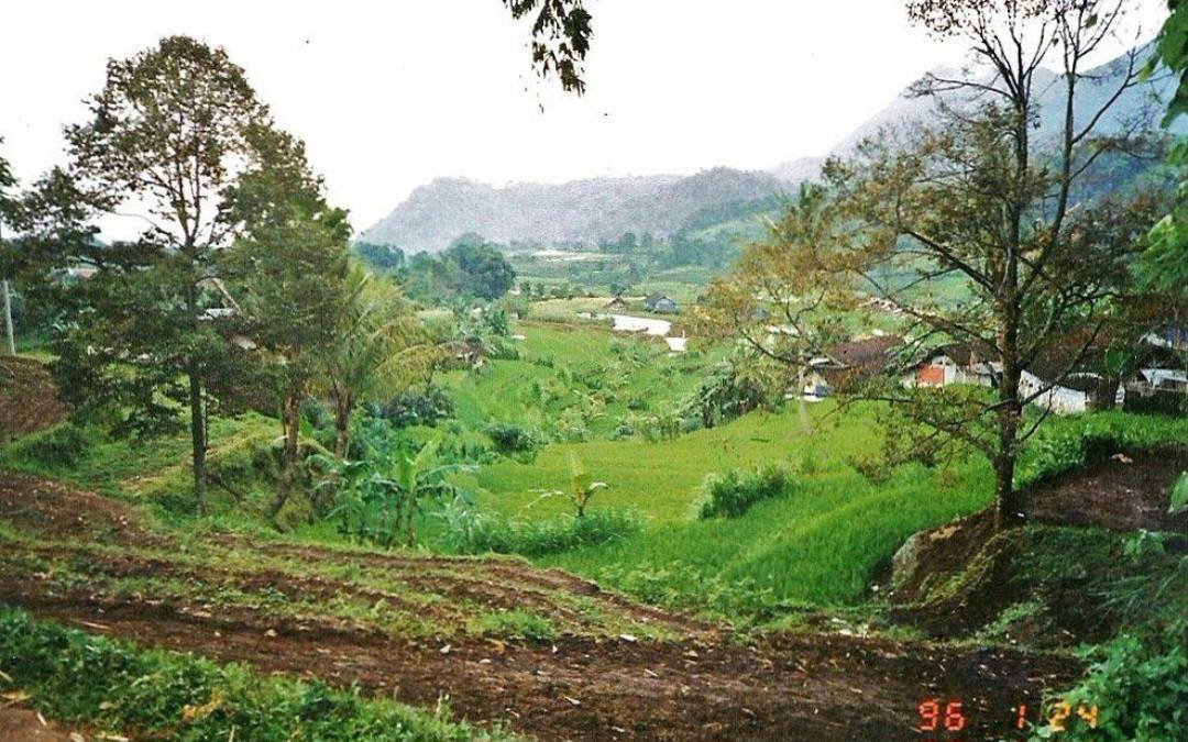 Dijual Tanah di Trawas