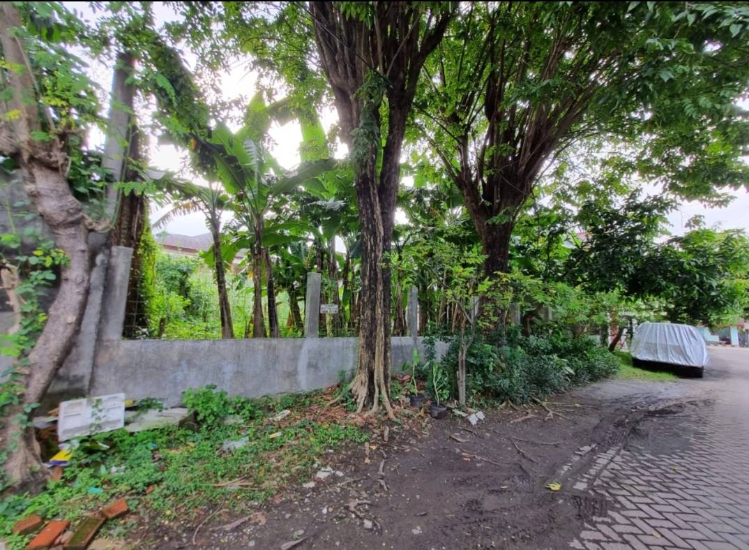 Disewakan Tanah di Jemursari