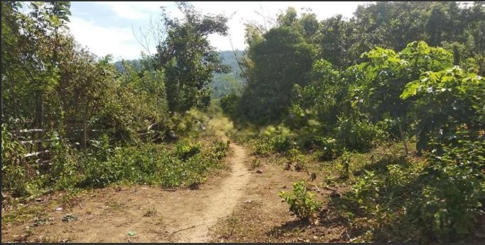 Dijual Tanah di Parangloe SHM
